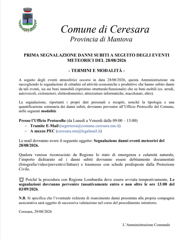 Immagine anteprima